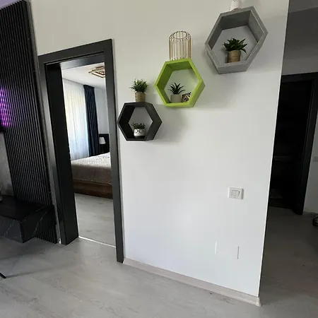 Apartment Palladium Brasov